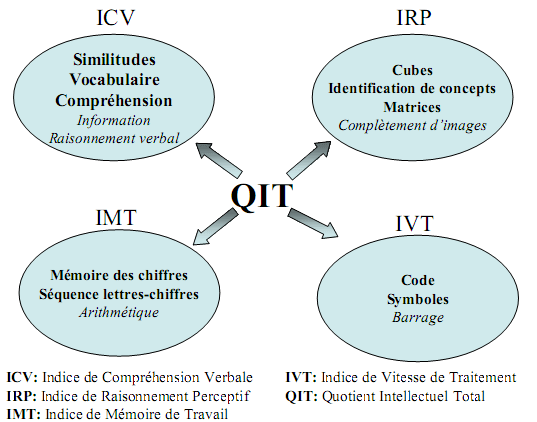 Structure du WISC-IV